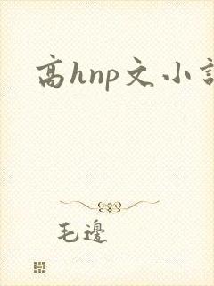 高hnp文小说