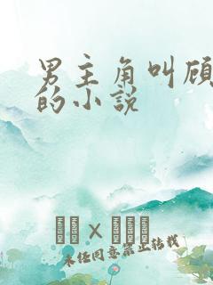 男主角叫顾寒川的小说