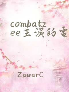 combatzee主演的电影在线