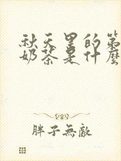 秋天里的第一杯奶茶是什么含义