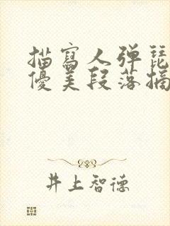 描写人弹琵琶的优美段落摘抄