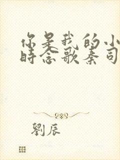 你是我的小情歌时念歌秦司廷全文免费阅读