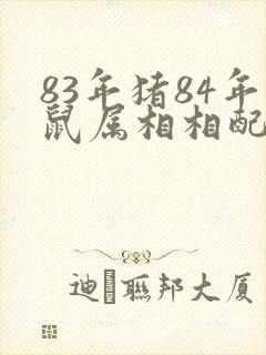 83年猪84年鼠属相相配吗