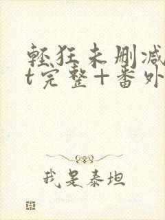 轻狂未删减txt完整+番外