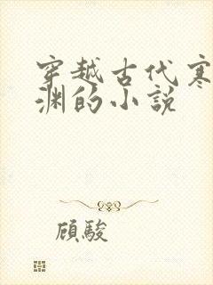 穿越古代寒门王渊的小说