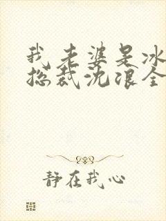 我老婆是冰山女总裁沈浪全集