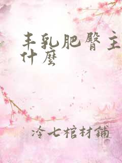 丰乳肥臀主要讲什么