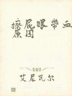 擦屁眼带血什么原因