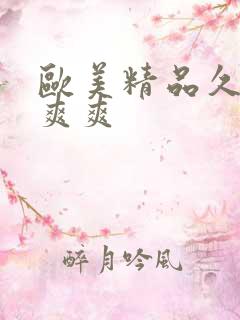 欧美精品久久爽爽爽