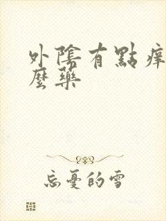 外阴有点痒擦什么药