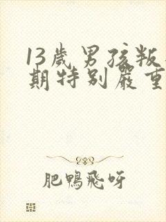 13岁男孩叛逆期特别严重怎么办