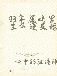 93年属鸡男一生命运及婚姻