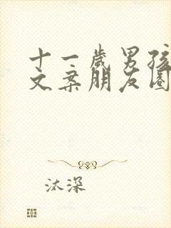 十一岁男孩生日文案朋友圈