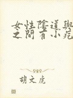 女性阴道与肛门之间有小疙瘩