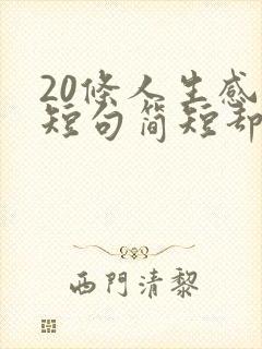 20条人生感悟短句简短却句句精辟