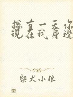 总有一天你会出现在我身边 伴奏