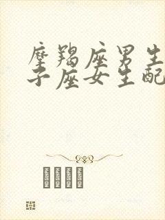 摩羯座男生和双子座女生配对指数