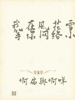 我在风花雪月里等你网络小说