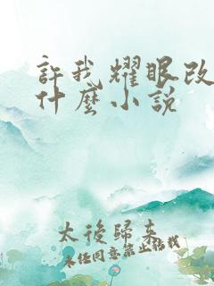 许我耀眼改编自什么小说