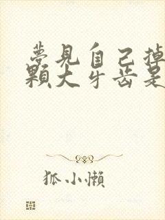 梦见自己掉了一颗大牙齿是什么预兆