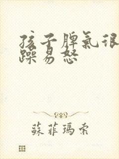 孩子脾气很大暴躁易怒