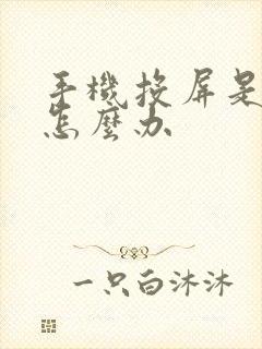 手机投屏是竖屏怎么办