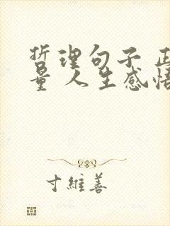 哲理句子 正能量 人生感悟 现实