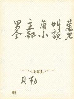 男主角叫叶晨的全部小说免费阅读