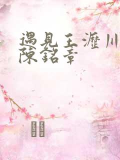 遇见王沥川导演陈铭章