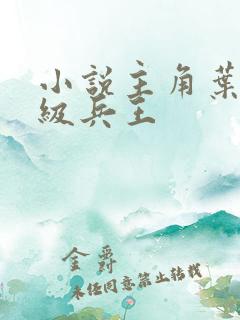 小说主角叶谦超级兵王