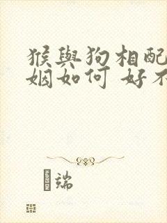 猴与狗相配的婚姻如何 好不好呢