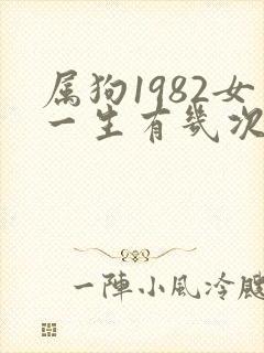 属狗1982女一生有几次婚姻