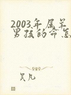 2003年属羊男孩的命怎么样