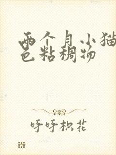 两个月小猫吐黄色粘稠物