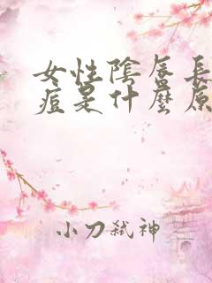 女性阴唇长小痘痘是什么原因