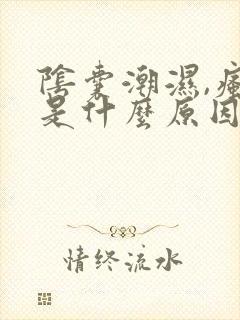 阴囊潮湿,瘙痒是什么原因