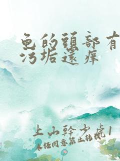 龟的头部有白色污垢还痒