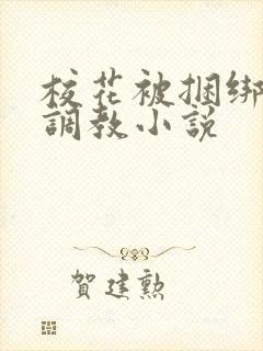 校花被捆绑玩弄调教小说