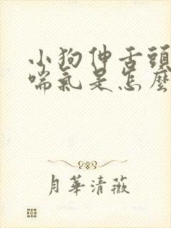 小狗伸舌头哈哈喘气是怎么回事