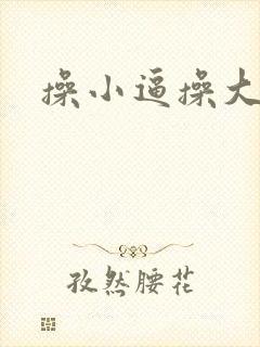 操小逼操大逼