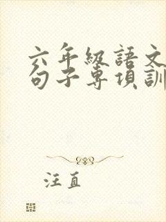 六年级语文下册句子专项训练