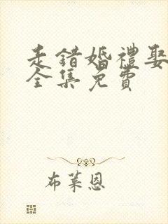 走错婚礼娶对妻全集免费