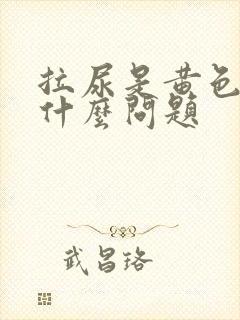 拉尿是黄色的是什么问题