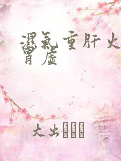 湿气重肝火旺脾胃虚