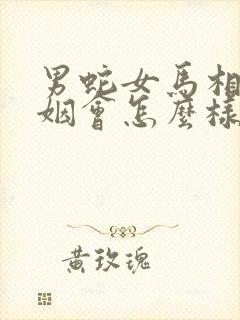 男蛇女马相配婚姻会怎么样