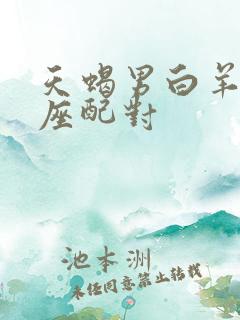 天蝎男白羊女星座配对