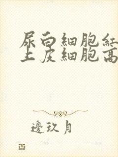 尿白细胞红细胞上皮细胞高