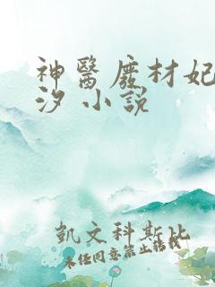 神医废材妃云芷汐 小说