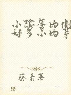 小阴唇内侧长了好多小肉芽