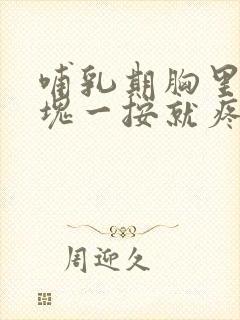 哺乳期胸里有硬块一按就疼